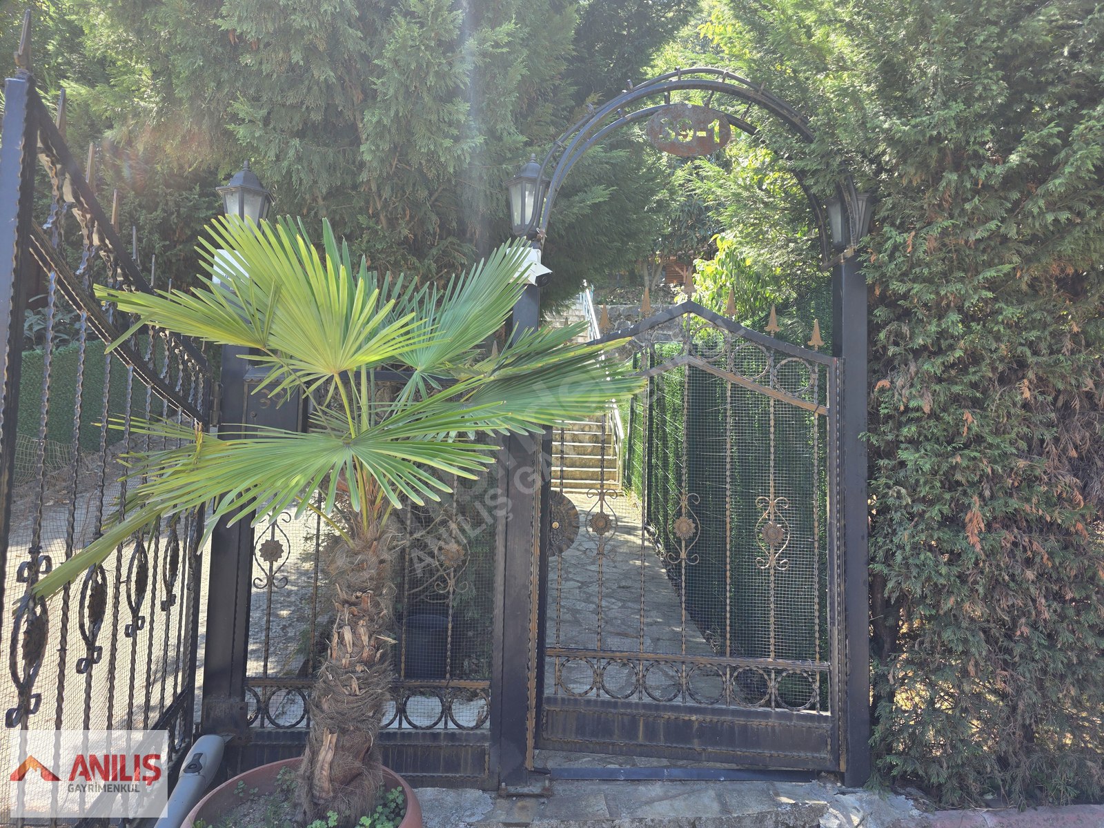 İlan Fotoğrafı